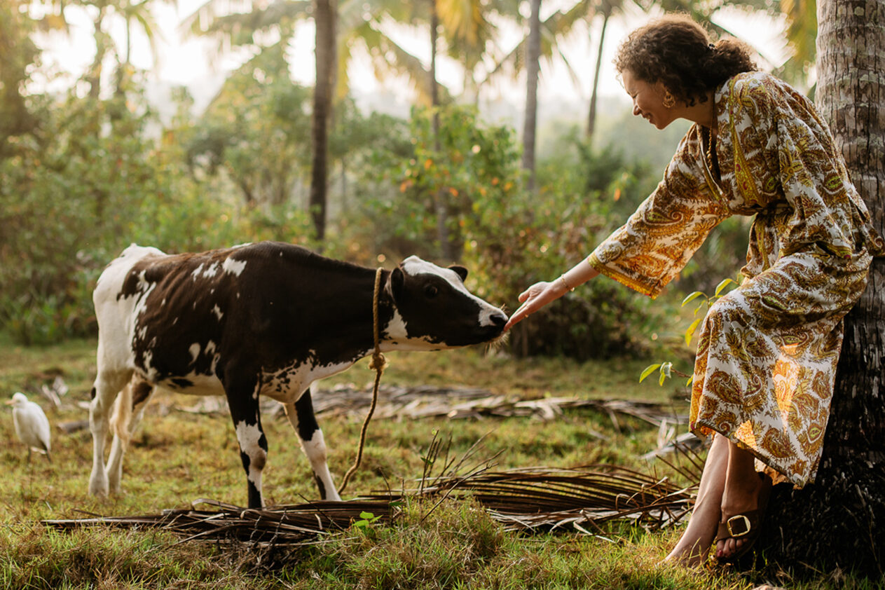 Edyta Sicińska z krową w Indiach 