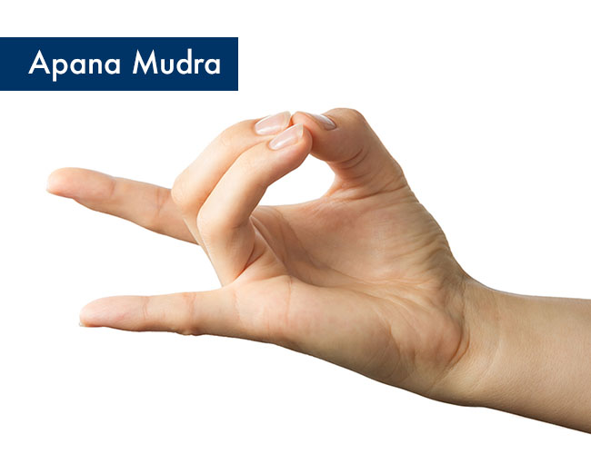 Apana Mudra (Mudra na trawienie)