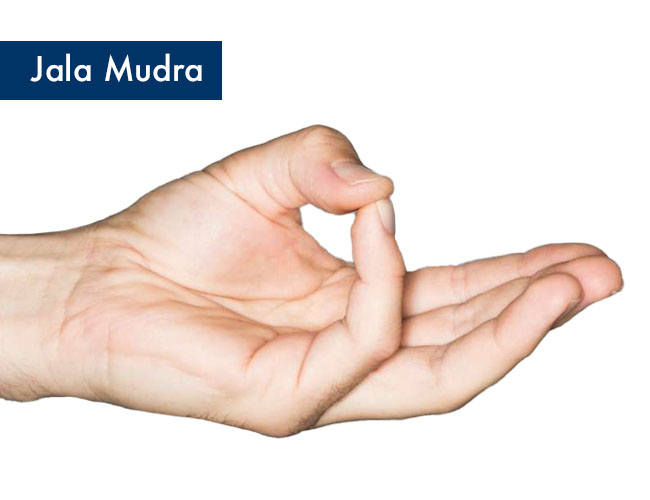 Jala Mudra (Mudra Wody)