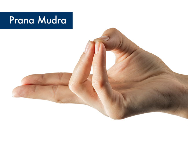 Prana Mudra (Mudra Życia)