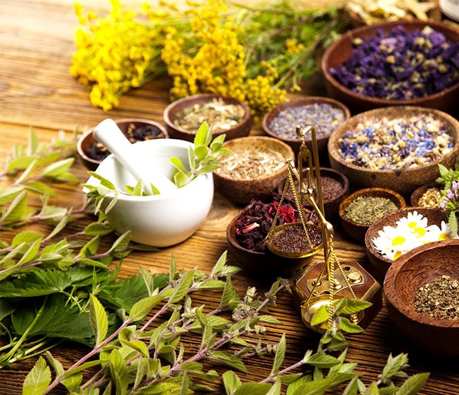 Naturalne zioła ajurwedyjskie