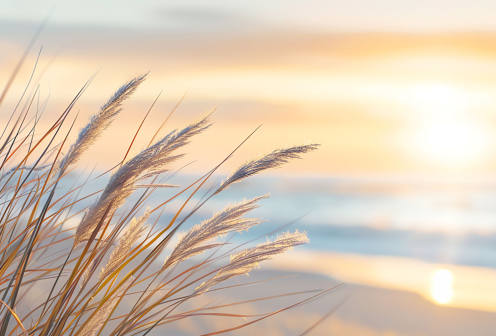 ADHD a Ajurweda – naturalna droga do równowagi, koncentracji i spokoju